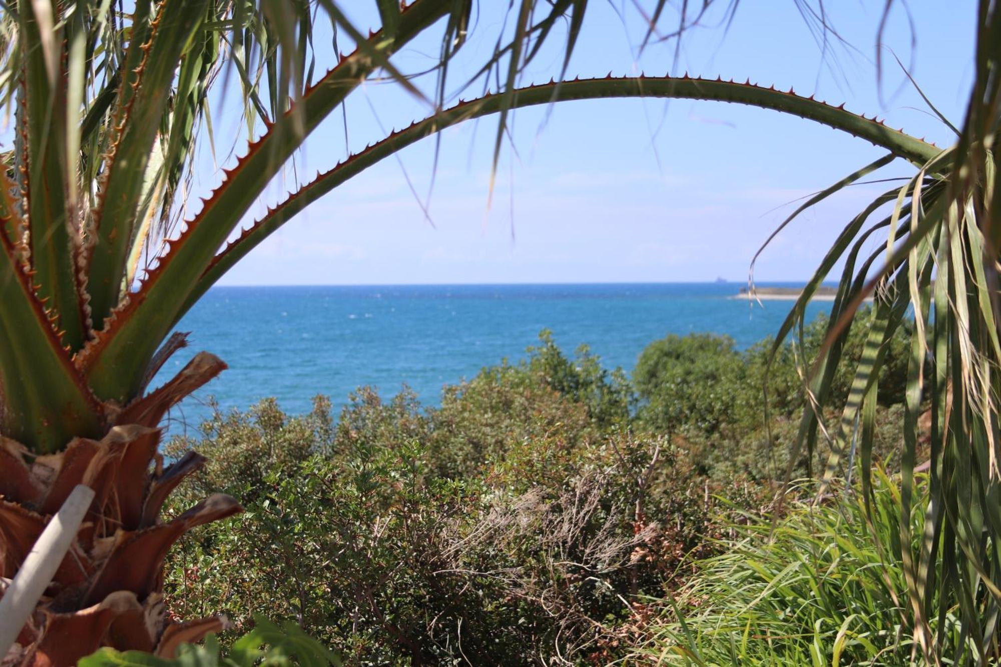 Summer Dream Cyprus Bed & Breakfast Maroni
