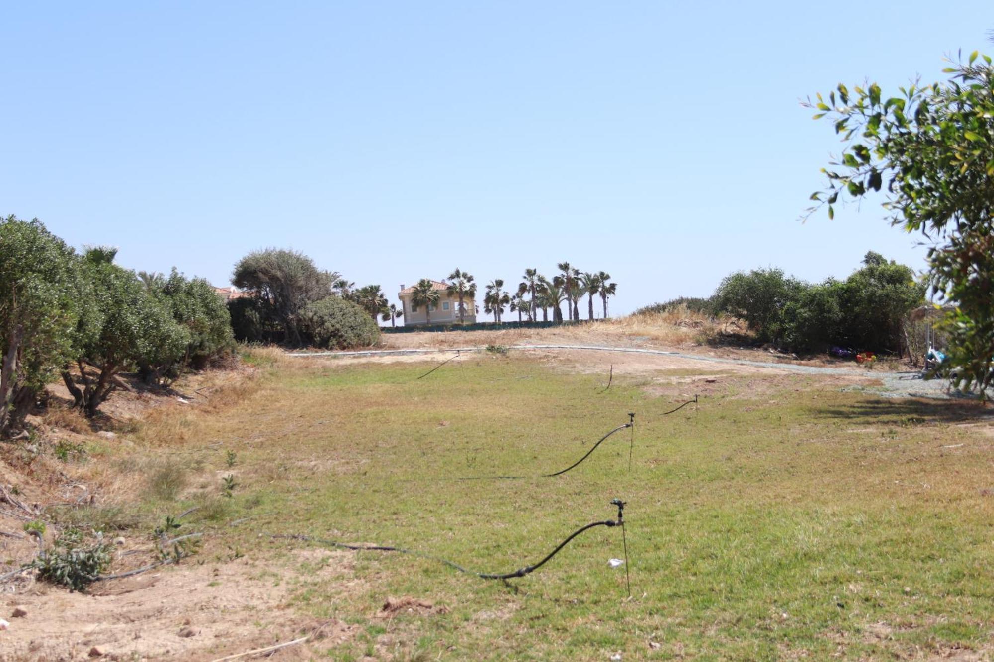 Summer Dream Cyprus Bed & Breakfast *