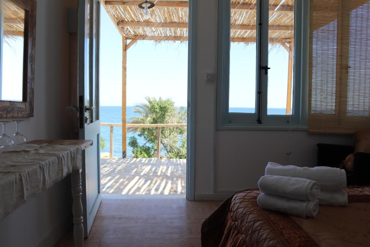 Summer Dream Cyprus Frühstückspension