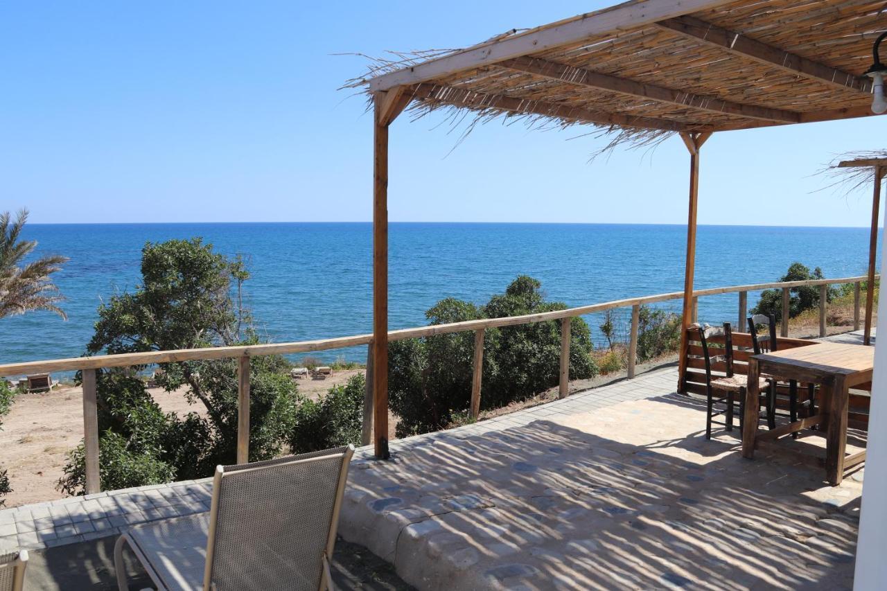 Summer Dream Cyprus Maroni
