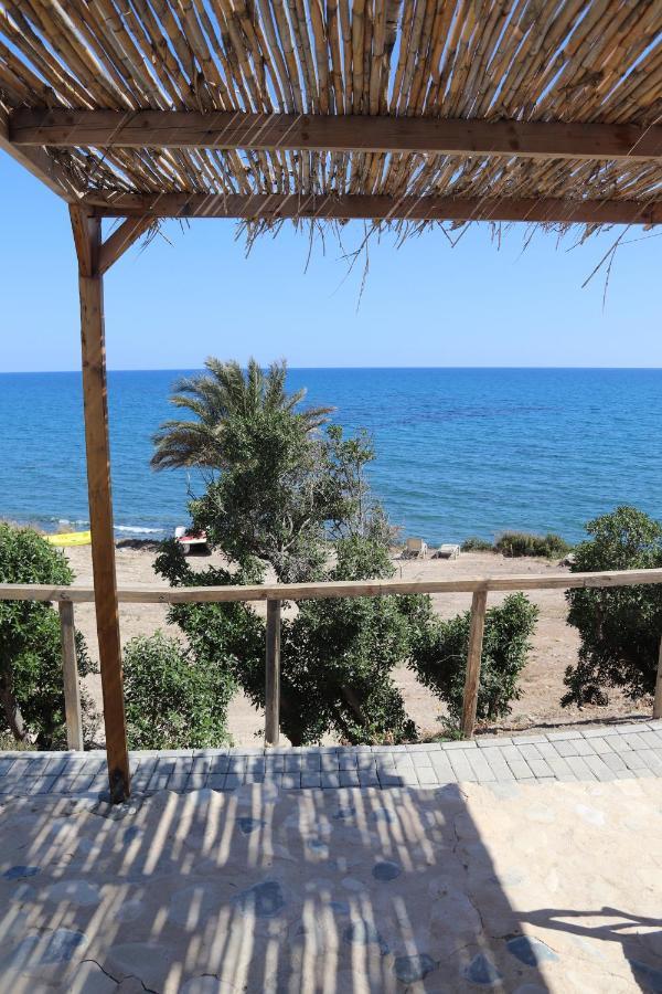 Couette-café Summer Dream Cyprus