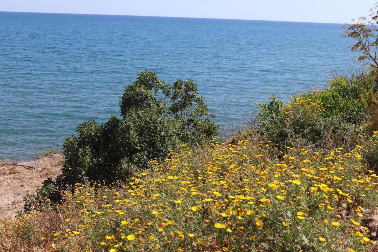 Summer Dream Cyprus Maroni