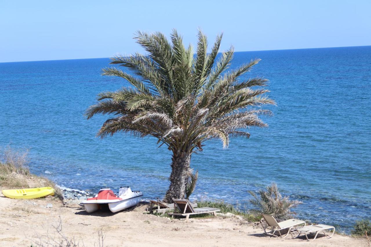 Summer Dream Cyprus Maroni
