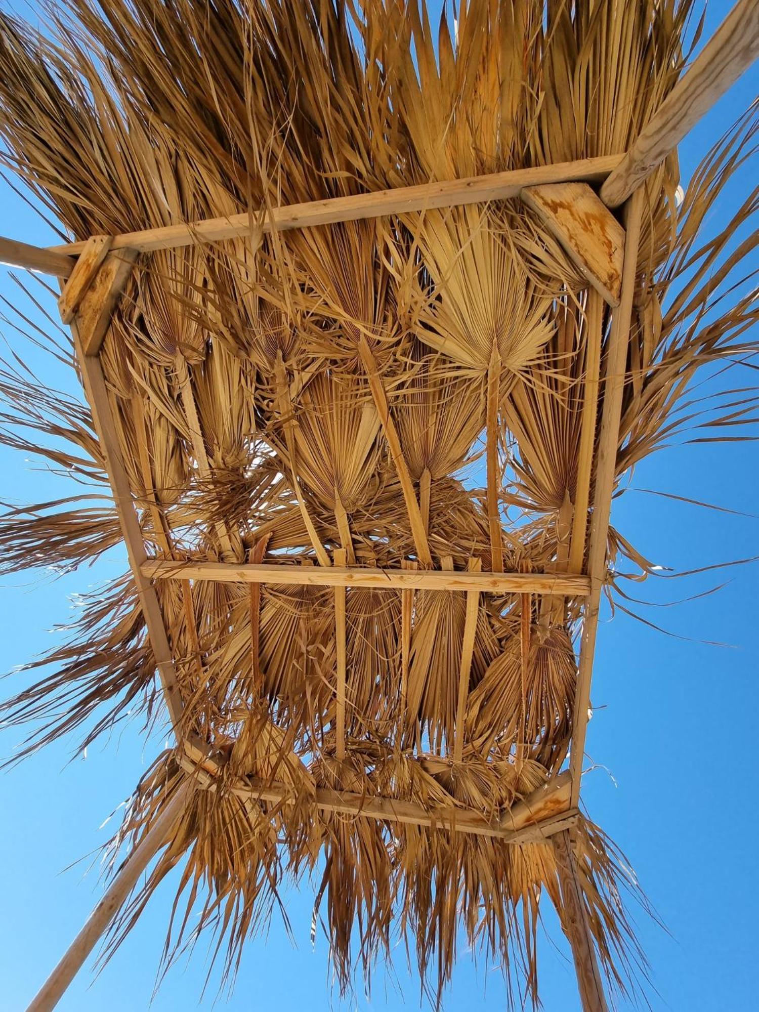Summer Dream Cyprus Couette-café Maroni