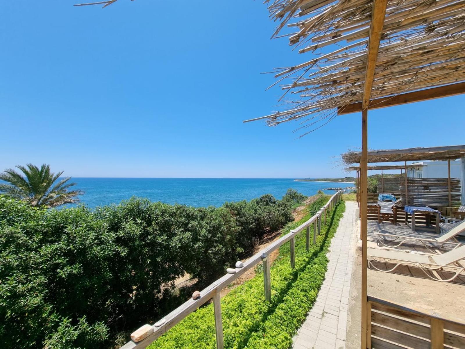 Summer Dream Cyprus
